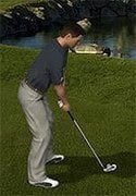 World Golf Tour