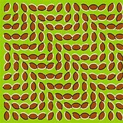 50 Optical Illusions