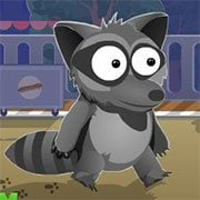 Raccoon’s Break Out