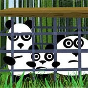3 Pandas