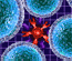 Biolabs Outbreak