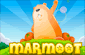 Marmoot