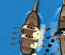 Pirate Race