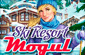Ski Resort Mogul
