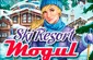 Ski Resort Mogul