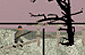 Snipedown