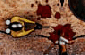 Zombification