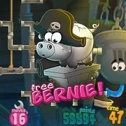 Free Bernie Pirates