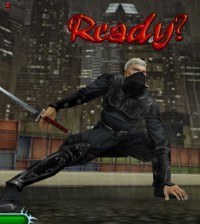 Ninja Force