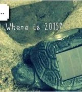 Where is 2015?