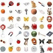 Short Term Memory Checker