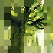 RePixel