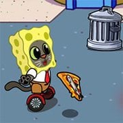 Hover Pizza Cats