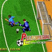 Pleasure Goal: Futsal