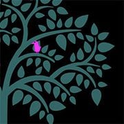Song for a bird