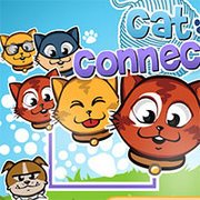 Cat Connection Online