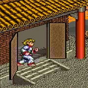 Hachoo! (Arcade)