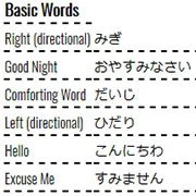 Learning Japanese Words