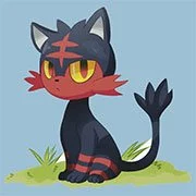 Private: Sun Flare Edition