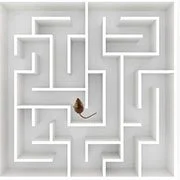 Mouse Maze