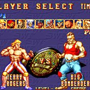 3 Count Bout (Arcade)