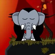 Snoring: Wake up Elephant: Transylvania