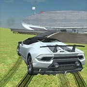 Rock and Race Driver