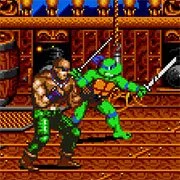 TMNT of Rage: The Final Shell Shock