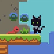 Cats and Coins