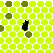 Catch the Cat