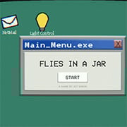 Flies in a Jar