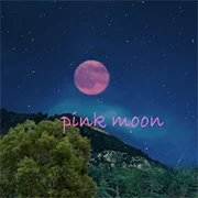 Pink Moon Room Escape