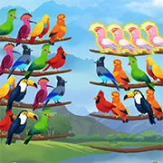 Bird Sort – Color Puzzle