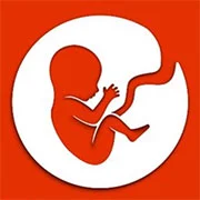 E-Life Simulation (Bitlife)