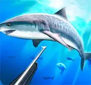 Hunter Underwater Spearfishing 3D