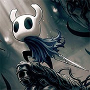 Hollow Knight Online