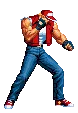 Terry-sprite1
