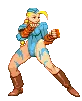 Cammy-s1